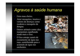 Agravos á saúde humana
• Gera mau cheiro.
• Atrai mosquitos, insetos e
  vetores de doenças como
  roedores e mosquito da
  dengue.
• Outros animais como cães
  manipulam espalhando
  ainda mais o lixo.
• O lixo entope canais de
  escoamento de água nas
  ruas, contribuindo para o
  acúmulo de água nas
  enchentes.
 