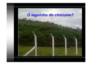 O laguinho do chorume?
 