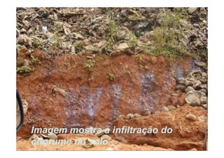 Imagem mostra a infiltração do
chorume no solo
 