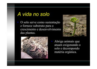 A vida no solo
• O solo serve como sustentação
  e fornece substrato para o
  crescimento e desenvolvimento
  das plantas.

                        • Abriga animais que
                          atuam oxigenando o
                          solo e decompondo
                          matéria orgânica.
 