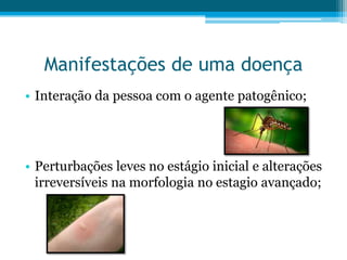 Manifestações de uma doença
• Interação da pessoa com o agente patogênico;

• Perturbações leves no estágio inicial e alterações
irreversíveis na morfologia no estagio avançado;

 