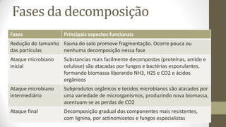 Fases da decomposição
Fases Principais aspectos funcionais
Redução do tamanho
das partículas
Fauna do solo promove fragmentação. Ocorre pouca ou
nenhuma decomposição nessa fase
Ataque microbiano
inicial
Substancias mais facilmente decompostas (proteínas, amido e
celulose) são atacadas por fungos e bactérias esporulantes,
formando biomassa liberando NH3, H2S e CO2 e ácidos
orgânicos
Ataque microbiano
intermediário
Subprodutos orgânicos e tecidos microbianos são atacados por
uma variedade de microrganismos, produzindo nova biomassa,
acentuam-se as perdas de CO2
Ataque final Decomposição gradual dos componentes mais resistentes,
com lignina, por actinomicetos e fungos especialistas
 