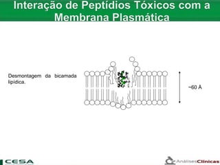 ~60 Å
Desmontagem da bicamada
lipídica.
 