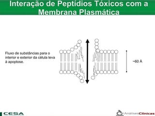~60 Å
Fluxo de substâncias para o
interior e exterior da célula leva
à apoptose.
 