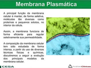 A principal função da membrana
celular é manter, de forma seletiva,
moléculas tão diversas como
proteínas e pequenos solutos, no
interior da célula.
Assim, a membrana funciona de
forma eficiente para regular
seletivamente sua permeabilidade.
A composição da membrana celular
tem sido estudada de forma
intensa, a partir do uso de diversas
técnicas físicas e químicas,
discutiremos a seguir a evolução
dos principais modelos da
membrana celular.
 