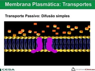 Transporte Passivo: Difusão simples
 