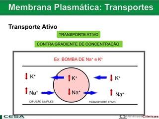 Ex: BOMBA DE Na+ e K+
TRANSPORTE ATIVO
CONTRA GRADIENTE DE CONCENTRAÇÃO
K+
Na+
K+
Na+
K+
Na+
DIFUSÃO SIMPLES TRANSPORTE ATIVO
Transporte Ativo
 