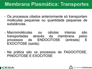  Os processos citados anteriormente só transportam
moléculas pequenas ou quantidade pequenas de
substâncias.
 Macromoléculas ou células inteiras são
transportadas através da membrana pelos
processos de ENDOCITOSE (entrada) E
EXOCITOSE (saída).
 Na prática são os processos de FAGOCITOSE,
PINOCITOSE E EXOCITOSE
 