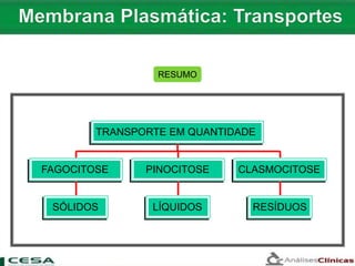 SÓLIDOS
FAGOCITOSE
LÍQUIDOS
PINOCITOSE
RESÍDUOS
CLASMOCITOSE
TRANSPORTE EM QUANTIDADE
RESUMO
 