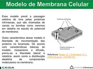 Referência: Singer, S. J. & Nicolson, G. L.
(1972) Science, 175:720-731.
Proteína intrínseca, ou
transmembrana
Proteínas extrínsecas
Esse modelo prevê a passagen
seletiva de íons pelas proteínas
intrínsecas, que são chamadas de
canais ou bombas como veremos
em detalhe no estudo do potencial
de membrana.
Outra característica desse modelo é
liberdade de movimentação das
proteína na bicamada. De acordo
com características básicas do
modelo, mosaicismo e difusão,
previu-se a liberdade lateral e
rotatória, assim como a distribuição
aleatória de componentes
moleculares na membrana.
 
