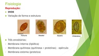 Fisiologia
Reprodução:
 OVOS
 Variação de forma e estrutura
 Três envoltórios:
• Membrana interna (lipídica)
• Membrana quitinosa (quitinosa + proteínas) – opérculo
• Membrana externa (proteica)
15
 