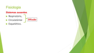 Fisiologia
Sistemas ausentes
 Respiratório,
 Circulatórioe
 Esquelético.
17
Difusão
 