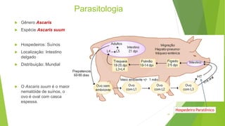 Parasitologia
 Gênero Ascaris
 Espécie Ascaris suum
 Hospedeiros: Suínos
 Localização: Intestino
delgado
 Distribuição: Mundial
 O Ascaris suum é o maior
nematóide de suínos, o
ovo é oval com casca
espessa.
18
 