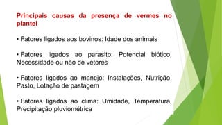 Principais causas da presença de vermes no
plantel
• Fatores ligados aos bovinos: Idade dos animais
• Fatores ligados ao parasito: Potencial biótico,
Necessidade ou não de vetores
• Fatores ligados ao manejo: Instalações, Nutrição,
Pasto, Lotação de pastagem
• Fatores ligados ao clima: Umidade, Temperatura,
Precipitação pluviométrica
 