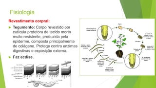 Fisiologia
Revestimento corpral:
 Tegumento: Corpo revestido por
cutícula protetora de tecido morto
muito resistente, produzida pela
epiderme, composta principalmente
de colágeno. Protege contra enzimas
digestivas e exposição externa.
 Faz ecdise.
6
 