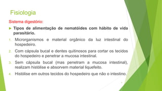Fisiologia
Sistema digestório:
 Tipos de alimentação de nematóides com hábito de vida
parasitário.
1. Microrganismos e material orgânico da luz intestinal do
hospedeiro.
2. Com cápsula bucal e dentes quitinosos para cortar os tecidos
do hospedeiro e penetrar a mucosa intestinal.
3. Sem cápsula bucal (mas penetram a mucosa intestinal),
realizam histólise e absorvem material liquefeito.
4. Histólise em outros tecidos do hospedeiro que não o intestino.
9
 