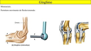 Gínglimo
Monoaxiais.
Permitem movimento de flexão/extensão.
 
