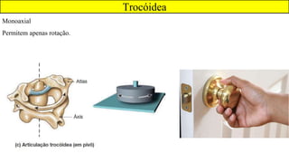 Trocóidea
Monoaxial
Permitem apenas rotação.
 