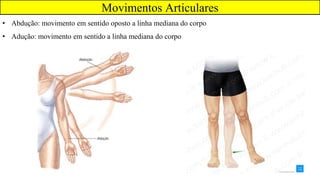 Movimentos Articulares
• Abdução: movimento em sentido oposto a linha mediana do corpo
• Adução: movimento em sentido a linha mediana do corpo
 