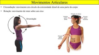 Movimentos Articulares
• Circundução: movimento em círculo da extremidade distal de uma parte do corpo
• Rotação: movimento de rotar sobre um eixo
 