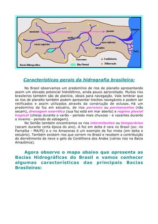 Aula 05 vegetação do brasil e hidrografia | PDF