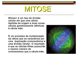 MITOSEMITOSE
Mitose= é um tipo de divisão
celular em que uma célula
diplóide da origem a duas novas
células geneticamente idênticas
à célula mãe.
É um processo de multiplicação
da célula que se caracteriza por
uma duplicação cromossômica e
uma divisão celular. O resultado
é que as células-filhas possuirão
o mesmo número de
cromossomos que a célula-mãe.
 