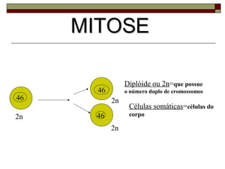 MITOSEMITOSE
46
46
462n
2n
Diplóide ou 2n=que possue
o número duplo de cromossomos
Células somáticas=células do
corpo
2n
 