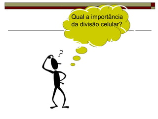 Qual a importância
da divisão celular?
 