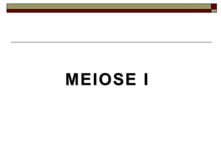 MEIOSE IMEIOSE I
 