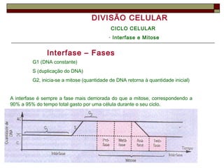 DIVISÃO CELULAR
CICLO CELULAR
· Interfase e Mitose
Interfase – Fases
G1 (DNA constante)
S (duplicação do DNA)
G2, inicia-se a mitose (quantidade de DNA retorna à quantidade inicial)
A interfase é sempre a fase mais demorada do que a mitose, correspondendo a
90% a 95% do tempo total gasto por uma célula durante o seu ciclo.
 