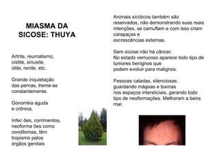Artrite, reumatismo, cistite, sinusite, otite, renite, etc. Grande inquietação das pernas, treme-as constantemente. Gonorréia aguda  e crônica. Infec ões, corrimentos,  neoforma ões como condilomas, têm  tropismo pelos órgãos genitais  Animais sicóticos também são reservados, não demonstrando suas reais intenções, se camuflam e com isso criam carapaças e  excrescências externas. Sem sicose não há câncer.  No estado verrucoso aparece todo tipo de tumores benignos que podem evoluir para malignos. Pessoas caladas, silenciosas, guardando mágoas e toxinas nos espaços intersticiais, gerando todo tipo de neoformações. Melhoram a beira mar. MIASMA DA SICOSE: THUYA 