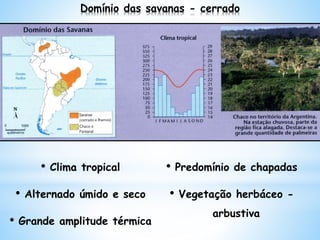 Domínio das savanas - cerrado
• Clima tropical
• Alternado úmido e seco
• Grande amplitude térmica
• Predomínio de chapadas
• Vegetação herbáceo -
arbustiva
 