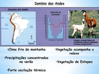 Domínio dos Andes
•Clima frio de montanha
•Precipitações concentradas
no verão
•Forte oscilação térmica
•Vegetação acompanha o
relevo
•Vegetação de Estepes
 