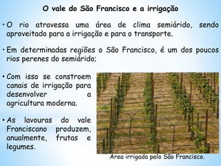 • Com isso se constroem
canais de irrigação para
desenvolver a
agricultura moderna.
• As lavouras do vale
Franciscano produzem,
anualmente, frutas e
legumes.
Área irrigada pelo São Francisco.
O vale do São Francisco e a irrigação
• O rio atravessa uma área de clima semiárido, sendo
aproveitado para a irrigação e para o transporte.
• Em determinadas regiões o São Francisco, é um dos poucos
rios perenes do semiárido;
 