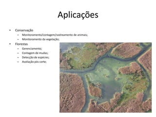 Aplicações
• Conservação
– Monitoramento/contagem/rastreamento de animais;
– Monitoramento da vegetação;
• Florestas
– Gerenciamento;
– Contagem de mudas;
– Detecção de espécies;
– Avaliação pós corte;
 