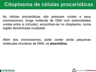 As células procarióticas não possuem núcleo e seus
cromossomos, longa molécula de DNA com extremidades
unidas entre si (circular), encontram-se no citoplasma, numa
região denominada nucleóide.
Além dos cromossomos, pode conter ainda pequenas
moléculas circulares de DNA, os plasmídios.
 