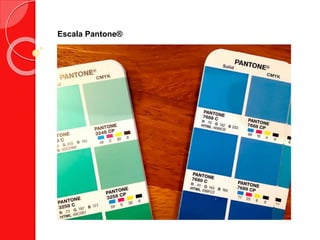 Escala Pantone®
 