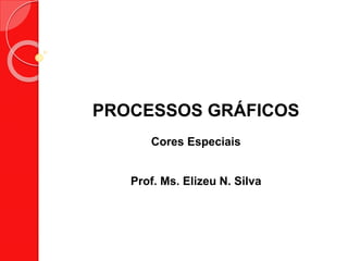 PROCESSOS GRÁFICOS
Cores Especiais
Prof. Ms. Elizeu N. Silva
 