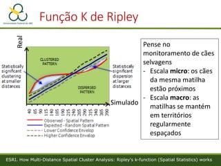 Função K de Ripley
ESRI. How Multi-Distance Spatial Cluster Analysis: Ripley's k-function (Spatial Statistics) works
Simul...