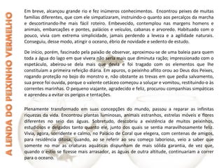 Em breve, alcançou grande rio e fez inúmeros conhecimentos. Encontrou peixes de muitas
famílias diferentes, que com ele simpatizaram, instruindo-o quanto aos percalços da marcha
e descortinando-lhe mais fácil roteiro. Embevecido, contemplou nas margens homens e
animais, embarcações e pontes, palácios e veículos, cabanas e arvoredo. Habituado com o
pouco, vivia com extrema simplicidade, jamais perdendo a leveza e a agilidade naturais.
Conseguiu, desse modo, atingir o oceano, ébrio de novidade e sedento de estudo.
De início, porém, fascinado pela paixão de observar, aproximou-se de uma baleia para quem
toda a água do lago em que vivera não seria mais que diminuta ração; impressionado com o
espetáculo, abeirou-se dela mais que devia e foi tragado com os elementos que lhe
constituíam a primeira refeição diária. Em apuros, o peixinho aflito orou ao Deus dos Peixes,
rogando proteção no bojo do monstro e, não obstante as trevas em que pedia salvamento,
sua prece foi ouvida, porque o valente cetáceo começou a soluçar e vomitou, restituindo-o às
correntes marinhas. O pequeno viajante, agradecido e feliz, procurou companhias simpáticas
e aprendeu a evitar os perigos e tentações.
Plenamente transformado em suas concepções do mundo, passou a reparar as infinitas
riquezas da vida. Encontrou plantas luminosas, animais estranhos, estrelas móveis e flores
diferentes no seio das águas. Sobretudo, descobriu a existência de muitos peixinhos,
estudiosos e delgados tanto quanto ele, junto dos quais se sentia maravilhosamente feliz.
Vivia, agora, sorridente e calmo, no Palácio de Coral que elegera, com centenas de amigos,
para residência ditosa, quando, ao se referir ao seu começo laborioso, veio a saber que
somente no mar as criaturas aquáticas dispunham de mais sólida garantia, de vez que,
quando o estio se fizesse mais arrasador, as águas de outra altitude, continuariam a correr
para o oceano.
 