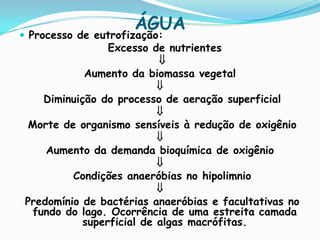 Oligotróficos (Baixa produtividade biológica, e baixa concentração de nutrientes);