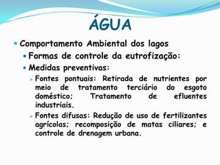 Eutróficos (Produção vegetal excessiva e alta concentração de nutrientes);