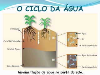 O CICLO DA ÁGUAComponentes do ciclo hidrológico 