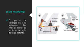 Inter-resistente
O ponto de
aplicação da força
resistente fica
entre os pontos de
apoio e de ação
da força potente.