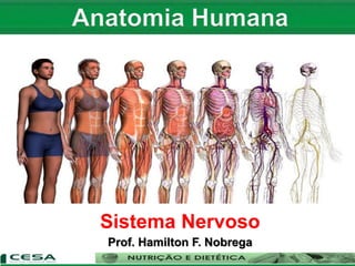 Sistema Nervoso
Prof. Hamilton F. Nobrega
 