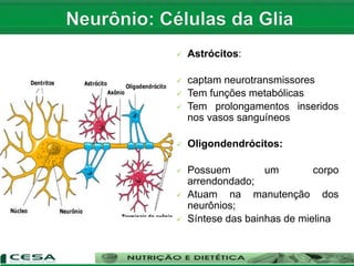  Astrócitos:
 captam neurotransmissores
 Tem funções metabólicas
 Tem prolongamentos inseridos
nos vasos sanguíneos
 Oligondendrócitos:
 Possuem um corpo
arrendondado;
 Atuam na manutenção dos
neurônios;
 Síntese das bainhas de mielina
 