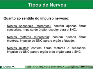 Quanto ao sentido do impulso nervoso:
• Nervos sensoriais (aferentes): contém apenas fibras
sensoriais. Impulso do órgão receptor para o SNC;
• Nervos motores (eferentes): contém apenas fibras
motoras. Impulso do SNC para o órgão efetuado;
• Nervos mistos: contém fibras motoras e sensoriais.
Impulso do SNC para o órgão e do órgão para o SNC
 