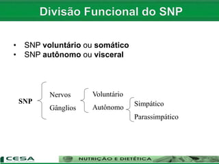 • SNP voluntário ou somático
• SNP autônomo ou visceral
SNP
Nervos
Gânglios
Voluntário
Autônomo Simpático
Parassimpático
 