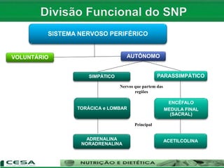 SISTEMA NERVOSO PERIFÉRICO
VOLUNTÁRIO AUTÔNOMO
SIMPÁTICO PARASSIMPÁTICO
TORÁCICA e LOMBAR
ENCÉFALO
MEDULA FINAL
(SACRAL)
ADRENALINA
NORADRENALINA
ACETILCOLINA
Nervos que partem das
regiões
Principal
 