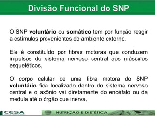 O SNP voluntário ou somático tem por função reagir
a estímulos provenientes do ambiente externo.
Ele é constituído por fibras motoras que conduzem
impulsos do sistema nervoso central aos músculos
esqueléticos.
O corpo celular de uma fibra motora do SNP
voluntário fica localizado dentro do sistema nervoso
central e o axônio vai diretamente do encéfalo ou da
medula até o órgão que inerva.
 